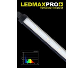 LEDMAX PRO L - LED osvětlení do propagátoru 5ks